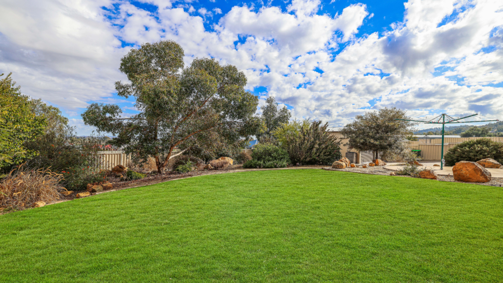 North Tamworth 117 Property Image - Yard