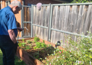 Mark is watering a raised garden bed