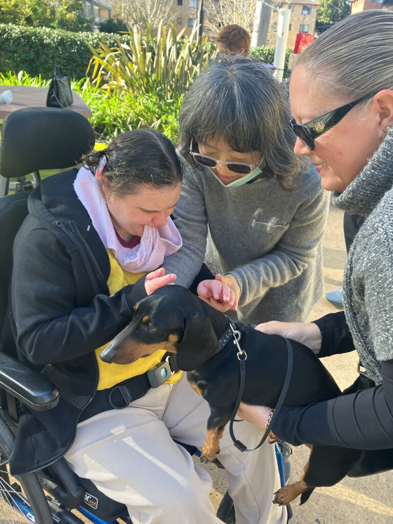 A girl in a wheelchair pets a puppy