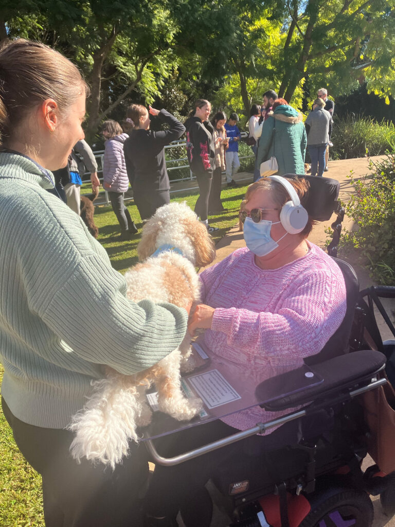 A girl is looking at a puppy