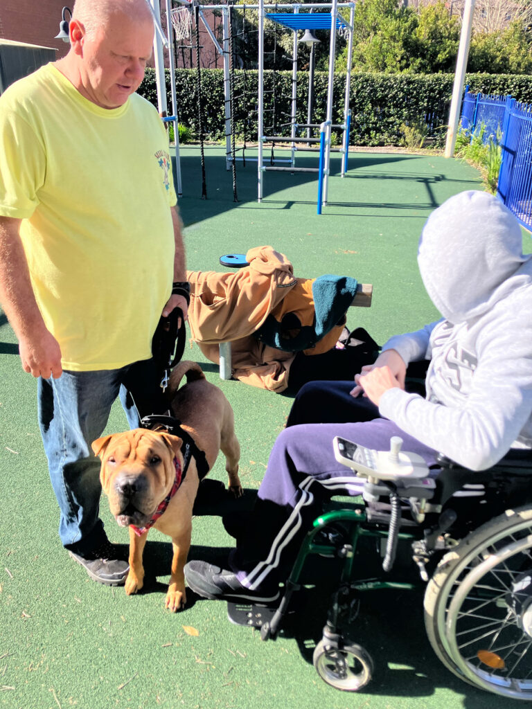 A young person wearing a hoodie is looking at a dog