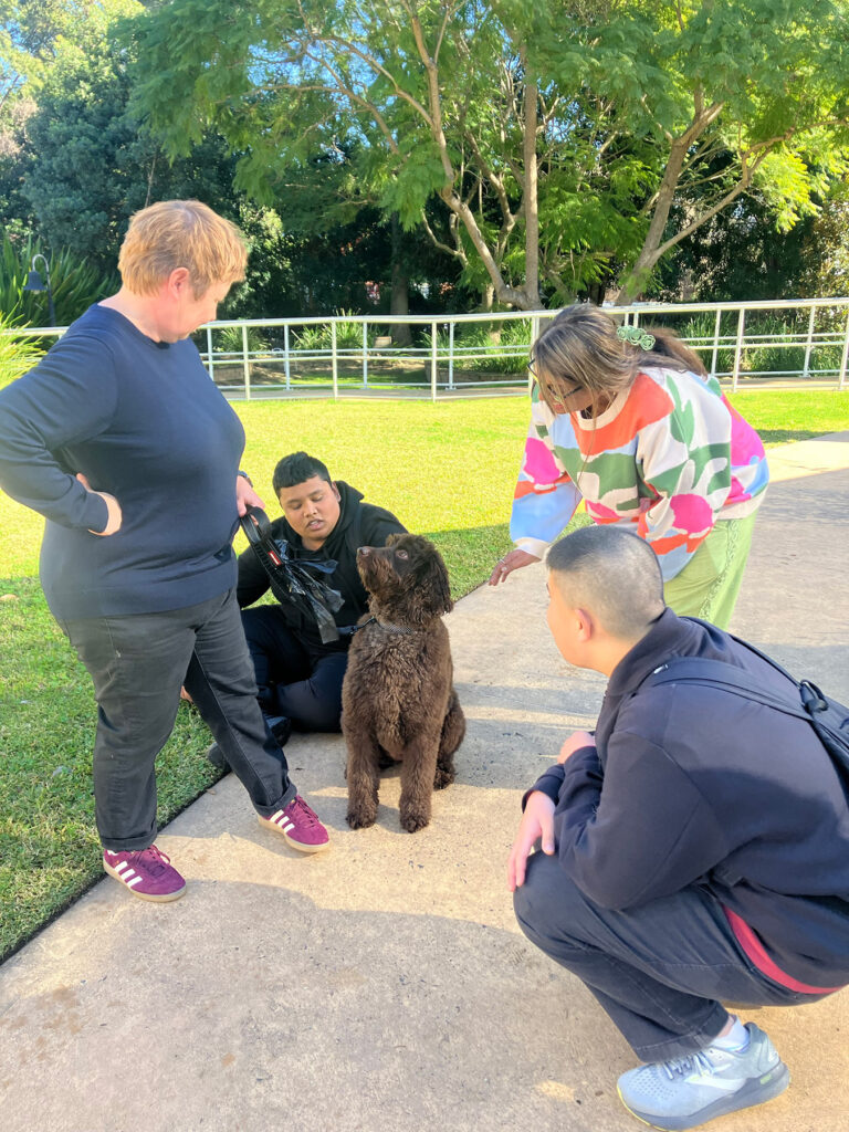 A group of people are looking at a brown dog